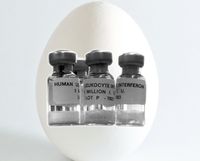 Peniliti Jepang Kembangkan Ayam Penghasil Telur dengan Kandungan Obat Penting