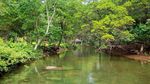 Foto: Pulau Indah Tempat Pembuangan Ribuan Narapidana