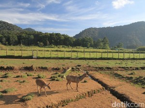 Ini Cara Liburan di Bandung, Dompet Aman dan Hati Senang