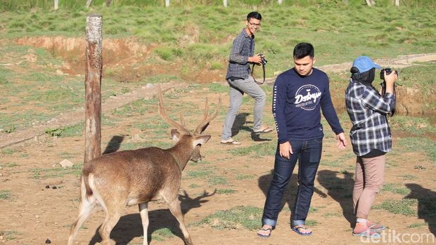 Selain Seperti di Luar Negeri, Ini yang Menarik Lainnya di Ranca Upas