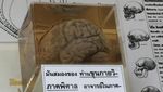 Foto: Jangan Lihat Kalau Takut, Museum Kematian di Bangkok