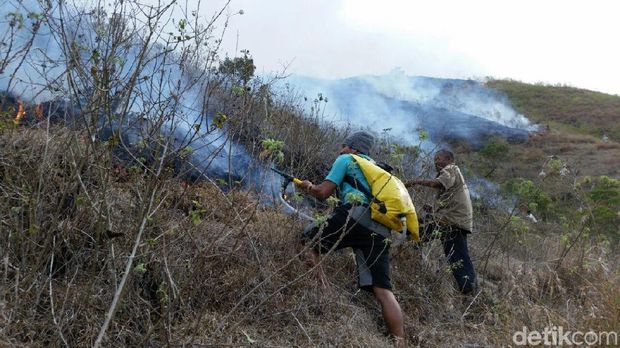 Taman Nasional Gunung Rinjani Terbakar