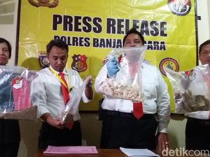 Ini Dia Gaplek yang Diduga Sebabkan 2 Warga Banjarnegara Tewas
