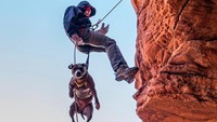 Tak lama setelah dipelihara, DeLuca melihat ada yang aneh dengan Penni. Anjing ini seperti ketakutan dengan orang-orang di keramaian dan suara berisik (pennidog/Instagram)