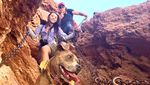 Foto: Ini Penni, Anjing yang Suka Hiking
