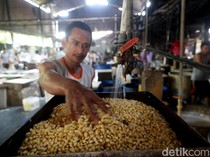 Harga Kedelai Lokal Anjlok, Pemerintah Turun Tangan
