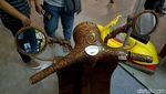 Begini Kerennya Vespa Super Berhiaskan Kayu Jepara