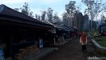 Foto: Kemping Kekinian di Bandung