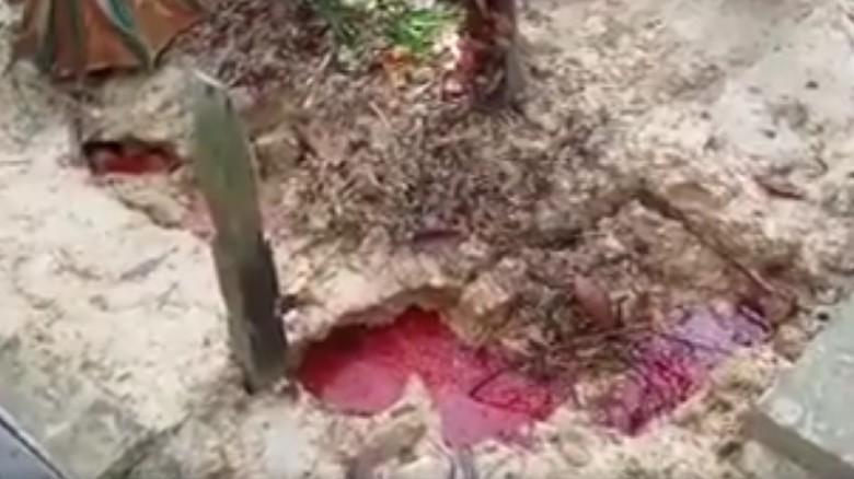 Penjelasan Ahli Ilmu Tanah soal Heboh Makam Berdarah di Balikpapan Penjelasan Ahli Ilmu Tanah soal Heboh Makam Berdarah di Balikpapan