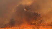 Penampakan dramatis helikopter yang tengah memadamkan api di tengah kepulan asap/Foto: REUTERS/Mike Blake