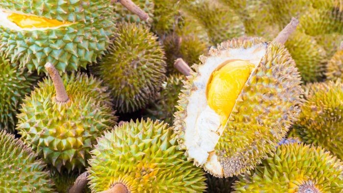 Peneliti Singapura Petakan Dna Durian