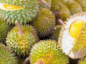 Peneliti Singapura Petakan DNA Durian