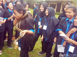 Melihat Kegelian Pelajar SMKN 3 Sukabumi Saat Bermain dengan Ular