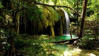Kabar membanggakan datang untuk Indonesia. 3 Destinasi di NTB berhasil diresmikan menjadi cagar biosfer dunia oleh UNESCO yaitu Teluk Saleh, Pulau Moyo dan Gunung Tambora (Samota) (Thinkstock)