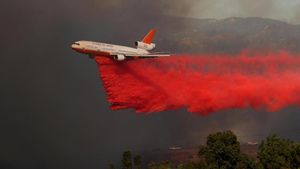 Zat Merah Pemadam Api Dijatuhkan dari Langit California