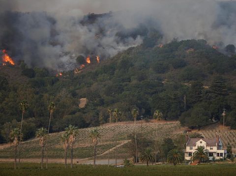 Kebakaran hutan di Sonoma, California