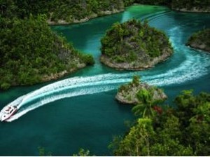 Mau Lihat Hiu Berjalan? Yuk,Ikut Festival Bahari Raja Ampat