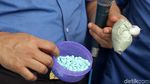 BNN Bongkar Jaringan Narkoba Internasional
