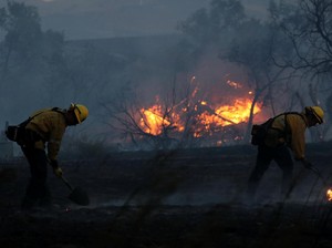 Kebakaran Sentra Anggur California Tewaskan 21 Orang, 550 Orang Hilang