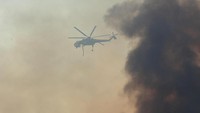 Dengan kemampuan terbang rendah dan melaju dengan kecepatan rendah, helikopter bisa lebih rapat dalam memadamkan area api/Foto: REUTERS/Mike Blake