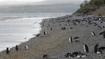 Foto: Kehidupan di Ujung Bumi Bagian Selatan