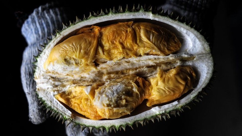 Terungkap! Misteri di Balik Bau dan Rasa Durian yang Sangat Tajam Terungkap! Misteri di Balik Bau dan Rasa Durian yang Sangat Tajam