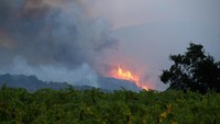 Api yang berkobar sangat besar ditambah asap yang tebal terlihat dari balik bukit. Terbayang betapa besarnya api saat di tempat kejadian. Erza Shaw/Gettyimages.
