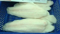 Ada beberapa ciri fisik yang membedakan fillet Dori Vietnam dengan fillet milik lokal, di antaranya warna daging yang cenderung lebih putih. (Dok BKIPM).