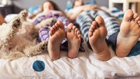 Tidak bisa tidur tanpa hewan peliharaan di samping Anda? Kebiasaan ini mungkin bisa mengganggu pasangan Anda. Jika demikian, maka kompromi dan komunikasi diperlukan agar kebiasaan ini tidak berdampak negatif pada hubungan ranjang. Di sisi lain, melarang hewan peliharaan tidur bersama dalam satu ranjang juga baik untuk memastikan kebersihan tempat tidur. Foto: Thinkstock
