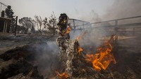 Angin kencang dan udara yang lembab serta cuaca panas dan kering membuat api cepat membesar. Hal itu menyulitkan tim pemadam kebakaran untuk menjinakkan api. Erza Shaw/Gettyimages.
