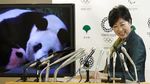 Gemas, Kebun Binatang Tokyo Tambah Koleksi Bayi Panda