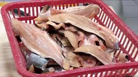 Fillet ikan dori tersebut diketahui mengandung zat tripolyphosphate, yang melebihi ambang batas dan dapat membahayakan kesehatan konsumen. (Dok BKIPM).