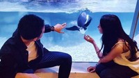 Gimana, sudah kepoin medsosnya putri Aa Gatot belum? Foto: Instagram/suci.patia