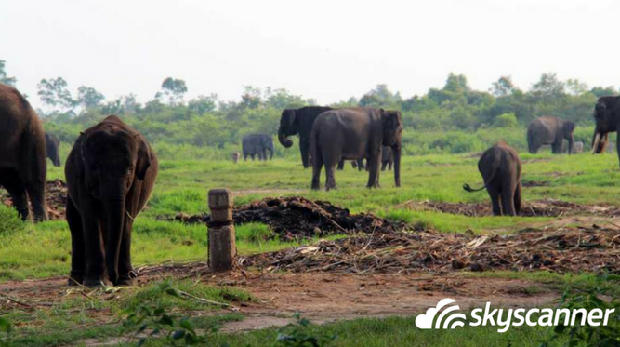 Aplikasi Jalan-jalan Ini Beberkan Lima Tujuan Wisata 'Terbaik' di Indonesia