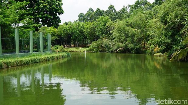 Suasananya sangat alami (shinta/detikTravel)
