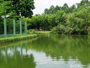 Bukan Amazon, Sungai Bernuansa Hutan Ini Ada di Ancol
