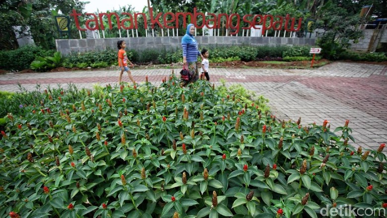 Taman Kembang Sepatu Kurang Fasilitas