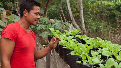 Potret Klinik ASRI: Menjaga Hutan Kalimantan dengan Stetoskop