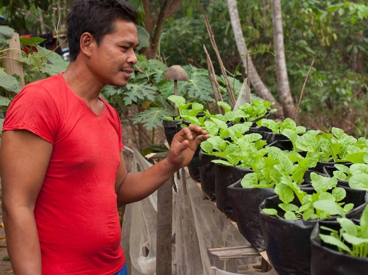 Potret Klinik ASRI: Menjaga Hutan Kalimantan dengan Stetoskop