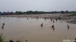 Foto: Di Banten, Bendungan Saja Dikuras