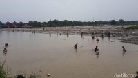 Ketika surut, ratusan warga mulai turun ke bendungan untuk mengambil ikan (Bahtiar Rivai/detikcom)