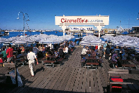 Menyibak Kedahsyatan Wisata Kuliner Kota Perth dan Sekitarnya