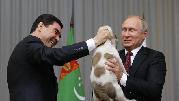 Presiden Turkemenistan menyerahkan anak anjing alabai ke Putin