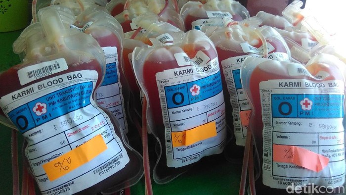 kantong darah dimusnahkan PMI Blitar kantong darah dimusnahkan PMI Blitar