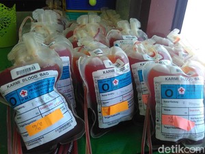Terpapar Penyakit Menular, 108 Kantong Darah Dimusnahkan