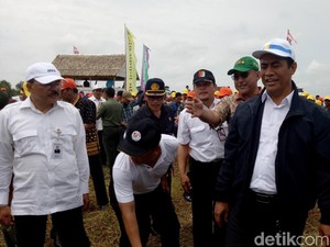 Ke Sumsel, Mentan Panen Padi di Lahan Tidur 400 Ha