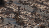 Rumah dan bangunan di Santa Rosa, California, rata dengan tanah. Stephen Lam/Reuters.