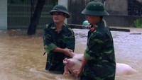 Otoritas Vietnam menyebut lebih dari 200 rumah ambruk, dengan hampir 18 ribu rumah lainnya terendam banjir atau rusak. Foto: AFP PHOTO/Vietnam News Agency/VIETNAM NEWS AGENCY
