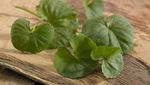 10 Super Herba Ini Punya Segudang Manfaat untuk Kesehatan Tubuh