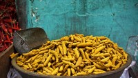 Kunyit merupakan antioksidan yang baik untuk kulit, sistem pencernaan dan melawan penyakit inflamasi. Potensi kunyit juga digunakan dalam uji klinis untuk membuktikan khasiatnya terhadap penyakit serius. Seperti penyakit Alzheimer, diabetes, kanker dan menghambat HIV.